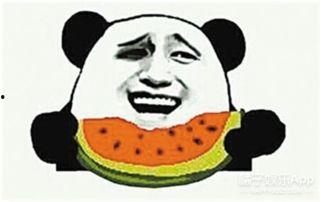 吃瓜群众cj大号,揭秘网络红人的幕后故事