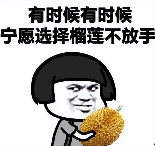 吃瓜手账句子,揭秘娱乐圈幕后故事