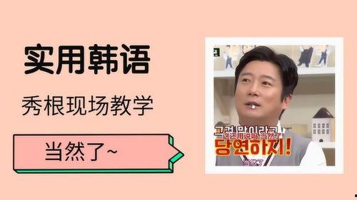 韩语live吃瓜现场