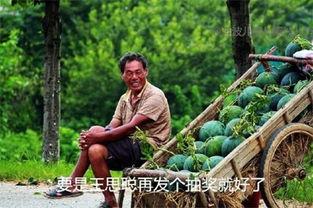 吃瓜游游,揭秘娱乐圈那些不为人知的幕后故事