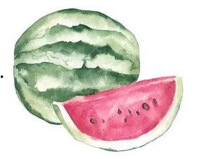 男女吃瓜的不同,男女吃瓜的趣味对比