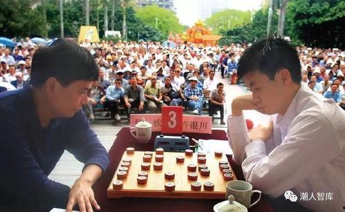 吃瓜象棋许银川,吃瓜象棋中的智慧与策略