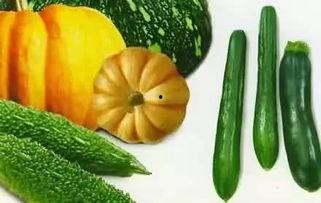 果果在线吃瓜,揭秘娱乐圈幕后故事