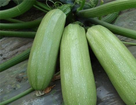 吃露天瓜的好处