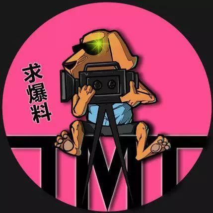 吃瓜系统综艺圈,吃瓜系统下的娱乐盛宴