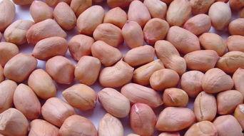 大头吃花生瓜,大头美食之旅