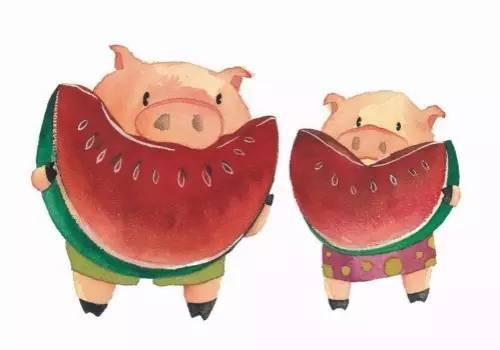 猪可以吃小瓜吗,营养与安全的探讨