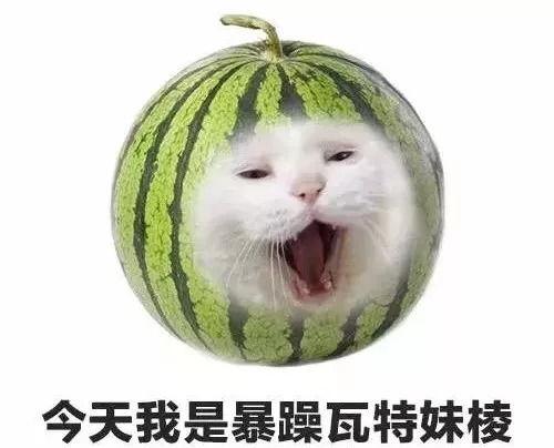 带你吃瓜的妹妹,带你领略“带你吃瓜的妹妹”的独特魅力