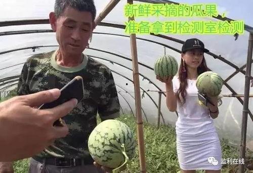 实验失败吃瓜,揭秘失败背后的故事