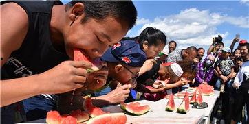 裕民县吃瓜,探寻瓜乡的独特魅力