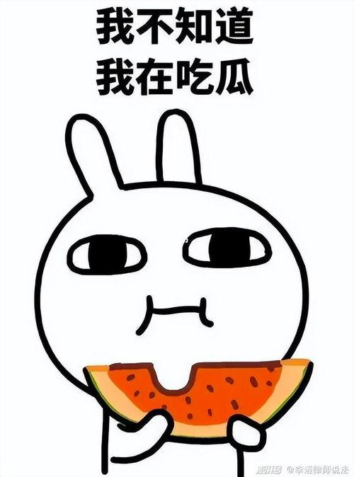 瓜瓜吃瓜音,揭秘娱乐圈幕后风云