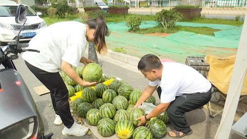 15线吃瓜,揭秘娱乐圈幕后故事