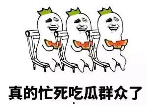 吃瓜阿婆,网络红人的崛起与影响力